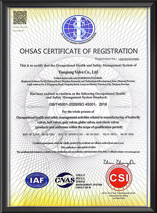 職業健康安全管理體系認證證書-英文